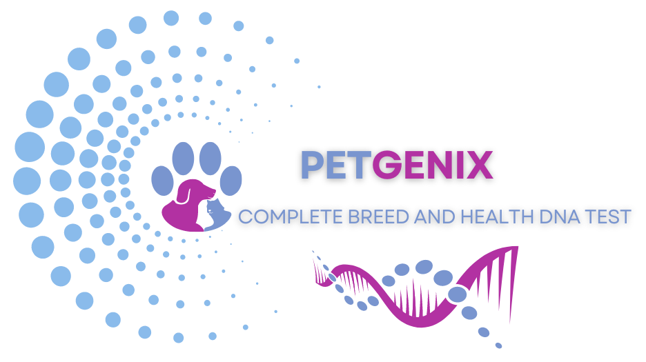 Absolute HaloDNA Test Absolute HaloDNA Test